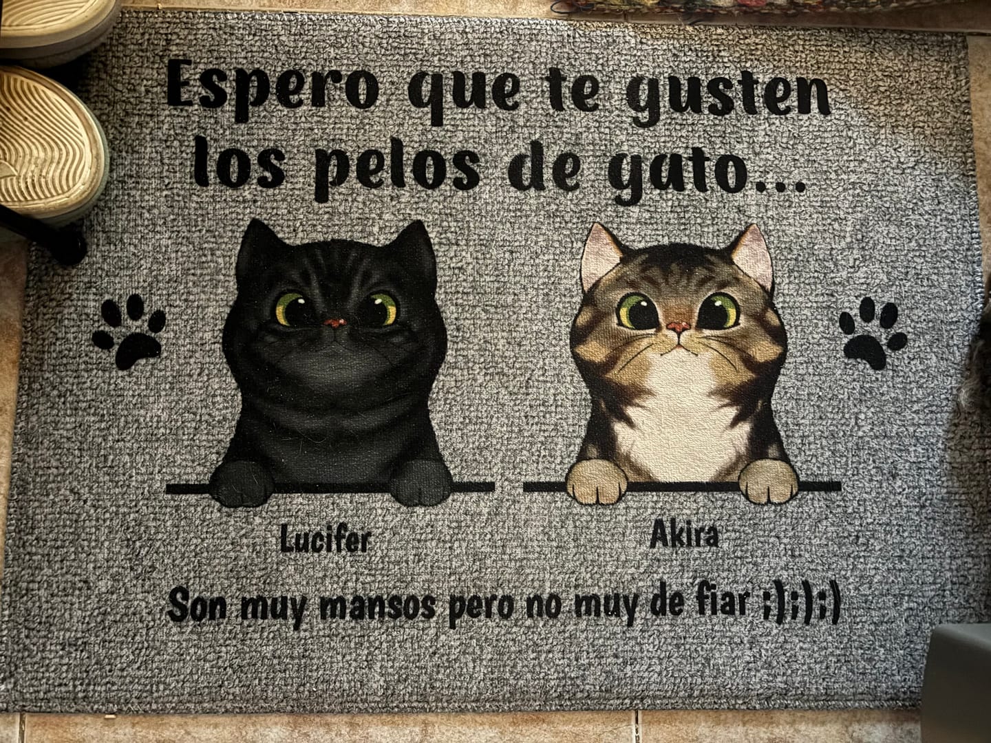 Customer photo review of Bienvenidos a lo de gatos curiosos - Felpudo personalizado