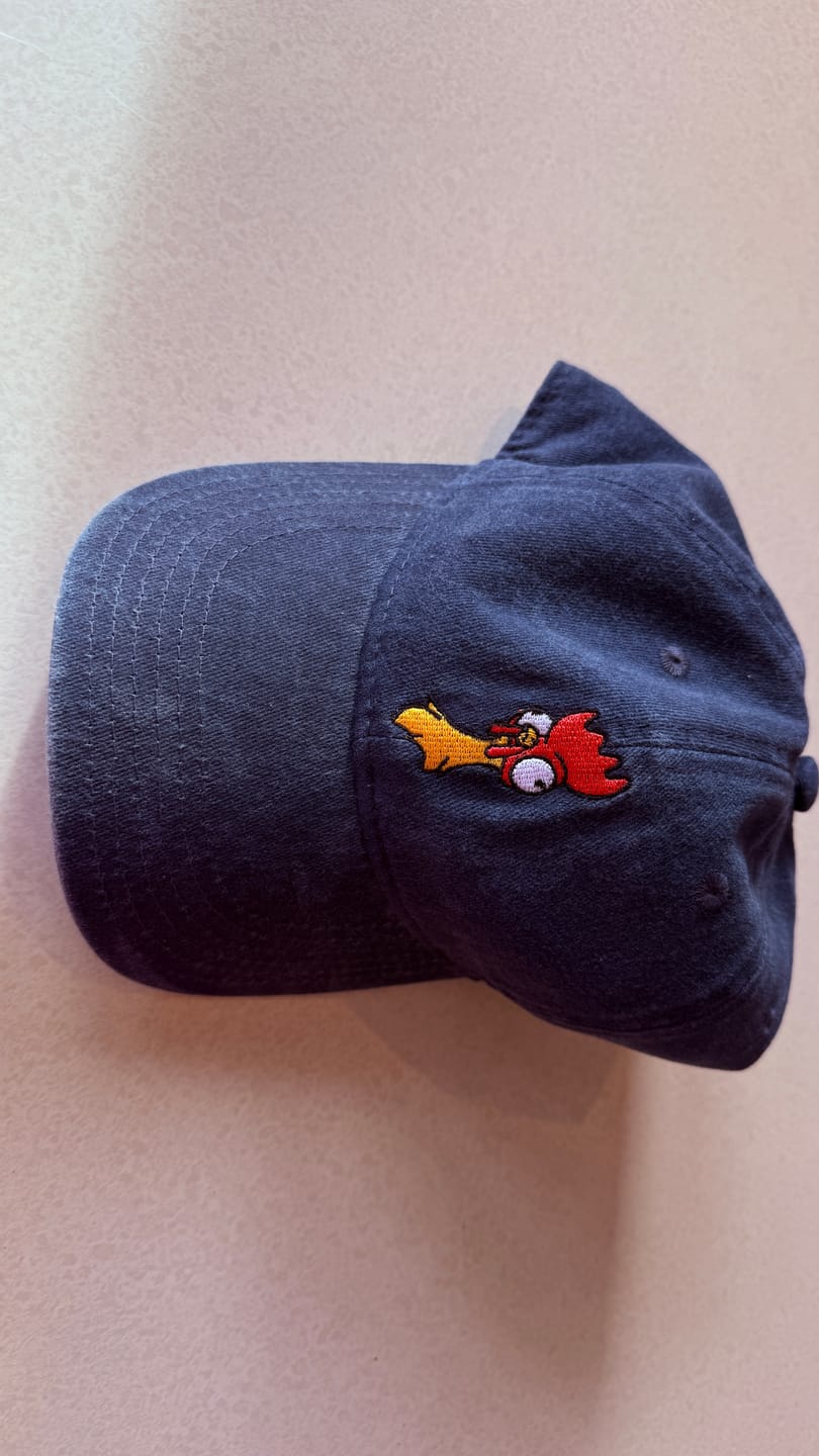 Customer photo review of Disney's Moana "Heihei" – Dad Hat