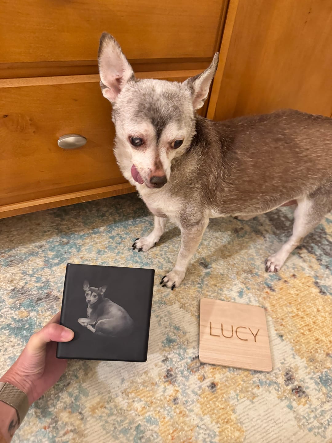 Customer photo review of CUSTOM PET CANDLE