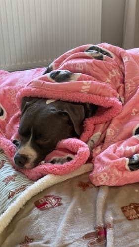 Rhiann M. review of MYLA Pink Edition| Luxury Human & Dog Blanket image 1 out of 1