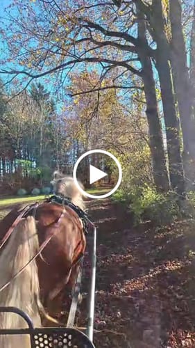 Customer video review of Wurmtest Pro Pferd