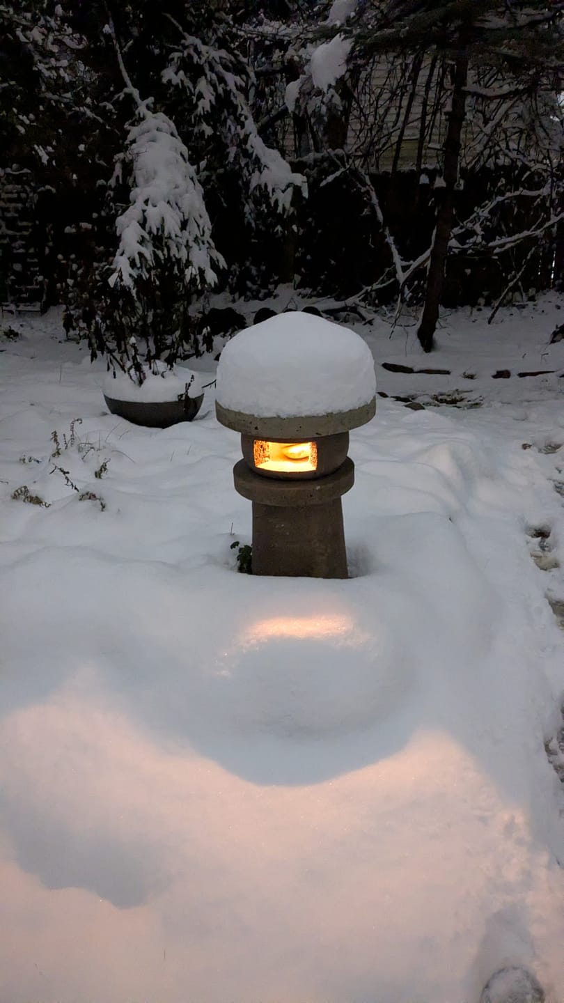 Customer photo review of 25FT Black Weatherproof Outdoor Pendant Light Lamp Cord Kit, E12 C7 Base