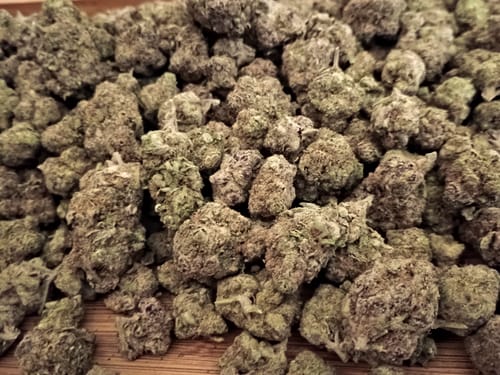 K. E. review of Granddaddy Purple - Indoor THCA (Full Size) image 1 out of 1