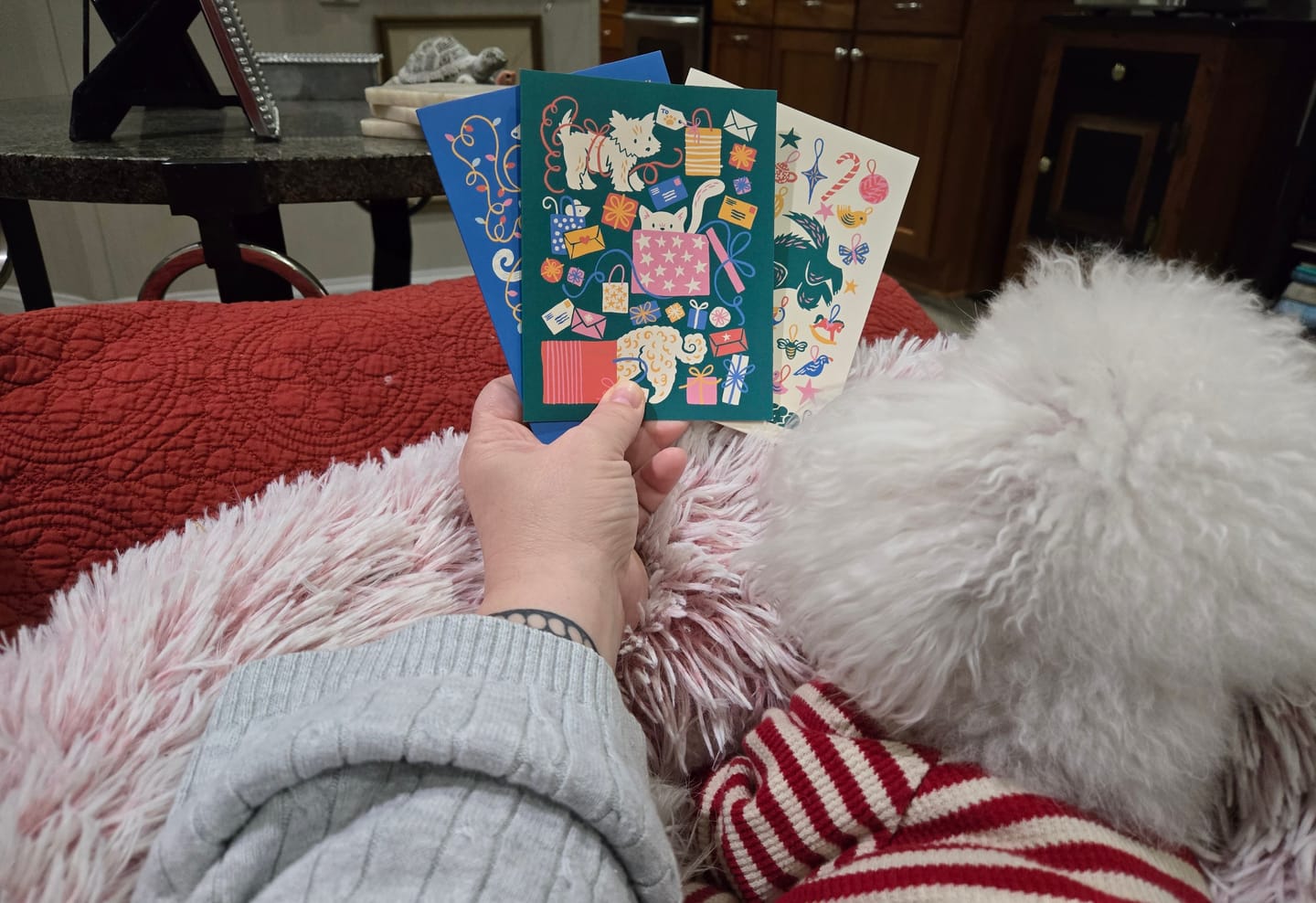 Customer photo review of Merry Pets Assorted Christmas Card Set