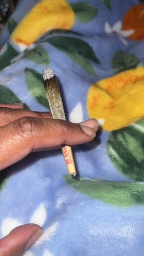 David G. review of Shipping Protection by Route image 1 out of 1