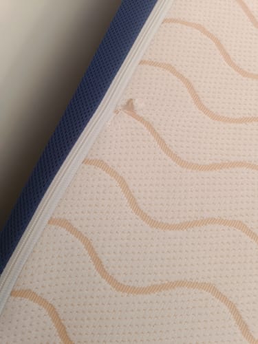 Nitin I. review of The Flo Mattress Ergo image 1 out of 1