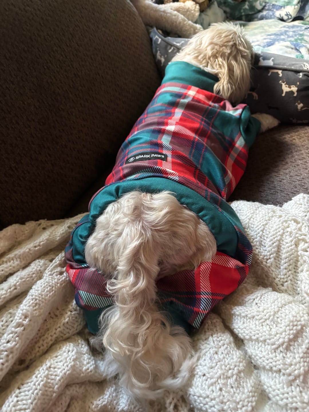 Customer photo review of Dog Christmas Pajama - Frosty Night