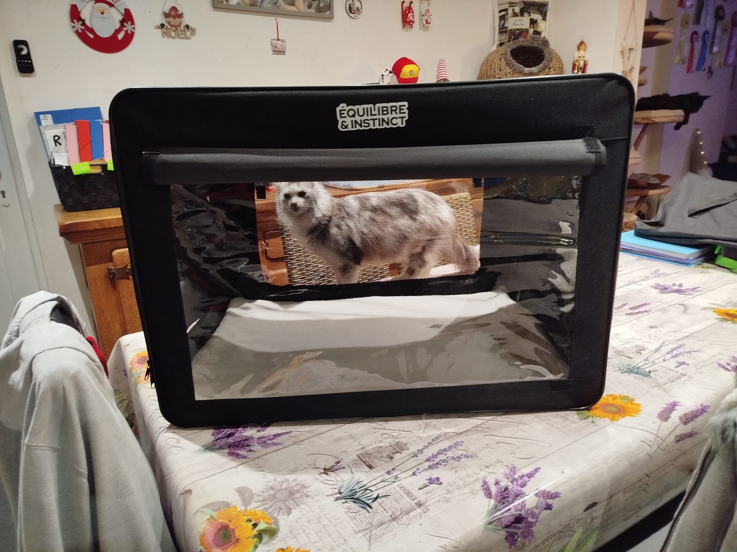 Customer photo review of Cage d'exposition pliable (Chat)