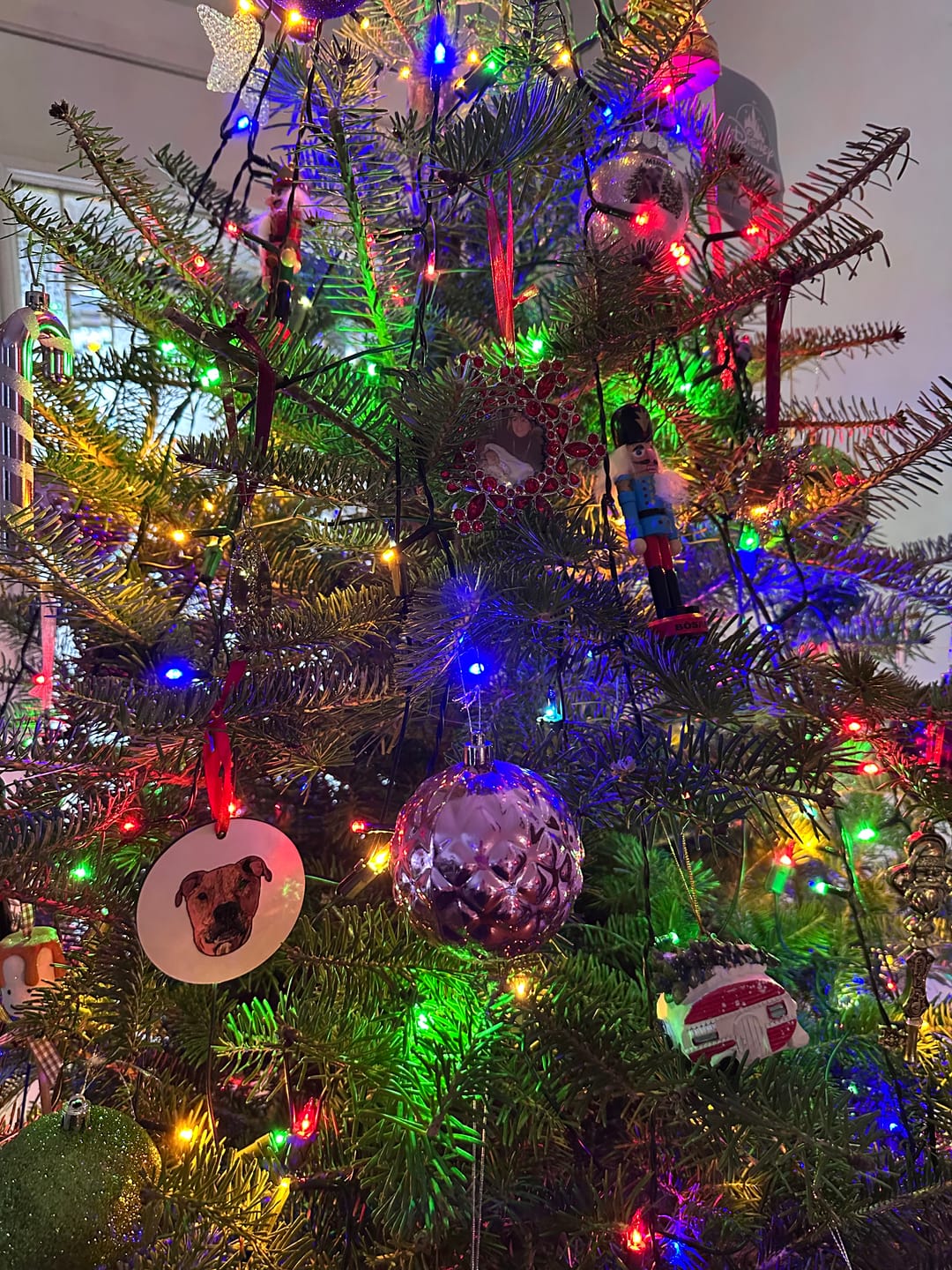 Customer photo review of Custom Christmas Ornament Promo Gift-1pet