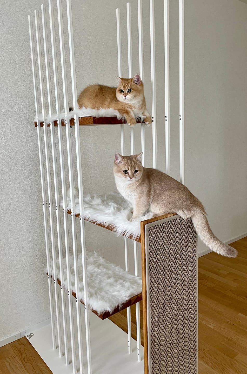 Customer photo review of STYA Katzen Kratzbaum MS210 | Schwarz