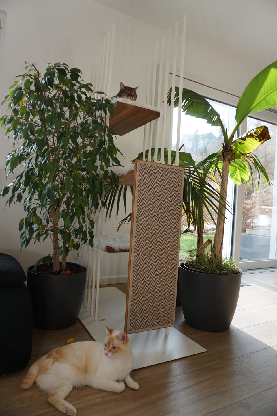 Customer photo review of STYA Katzen Kratzbaum MS210 | Schwarz