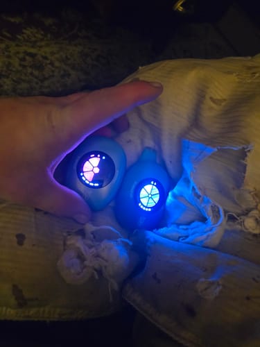 Customer photo review of UT Bar 50K 0 %