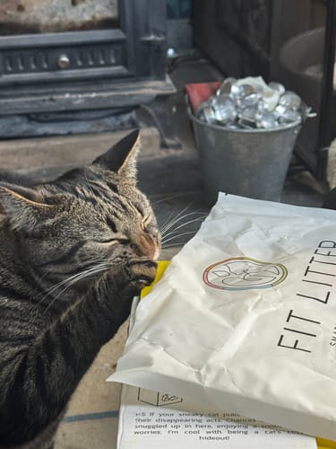 Customer photo review of 3 Month Supply - 1 Cat