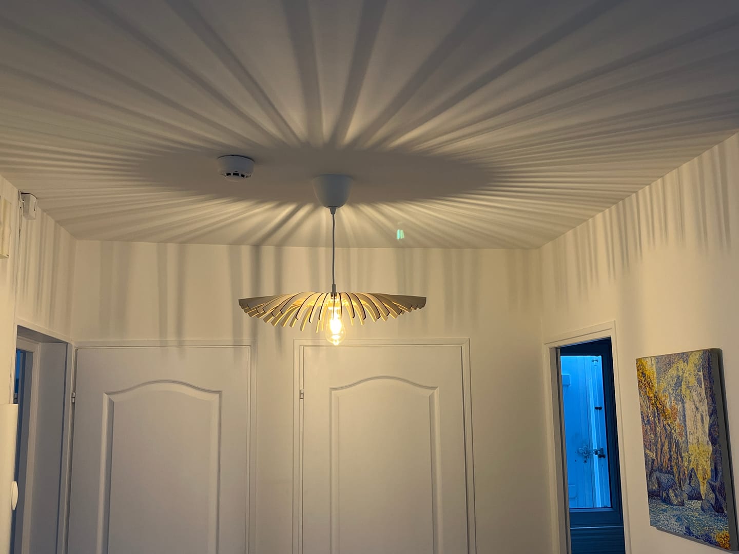 Customer photo review of Cygne | Suspension