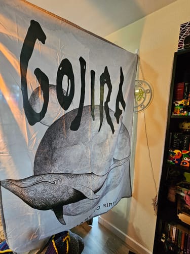 Reviewer's large Gojira 'From Mars To Sirius' flag hanging in the corner of a room.