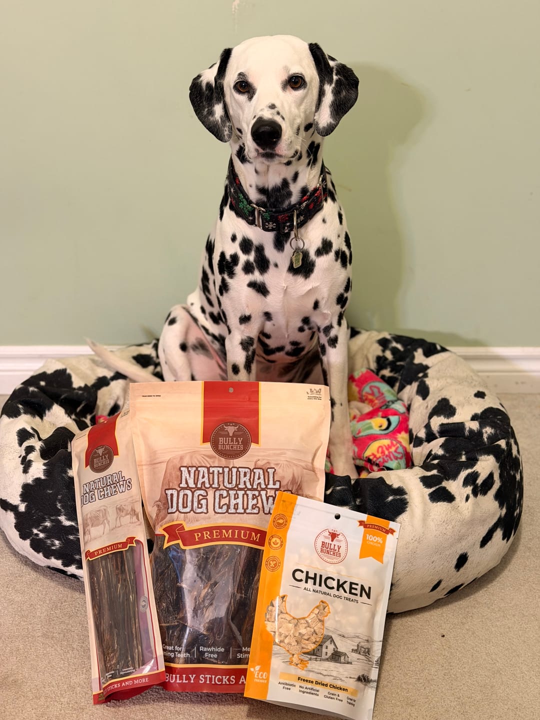 Customer photo review of Freeze Dried Chicken 100g / 3.5oz