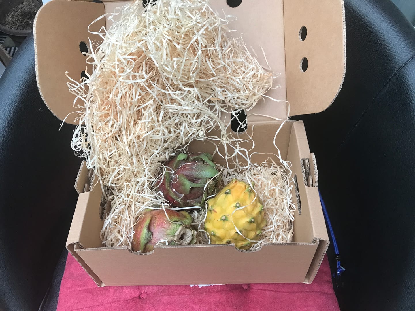 Customer photo review of Drachenfrucht Mix bunt Aktionswoche