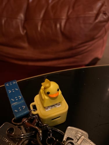 Customer photo review of Quackey - Fidget Toy that Quacks!