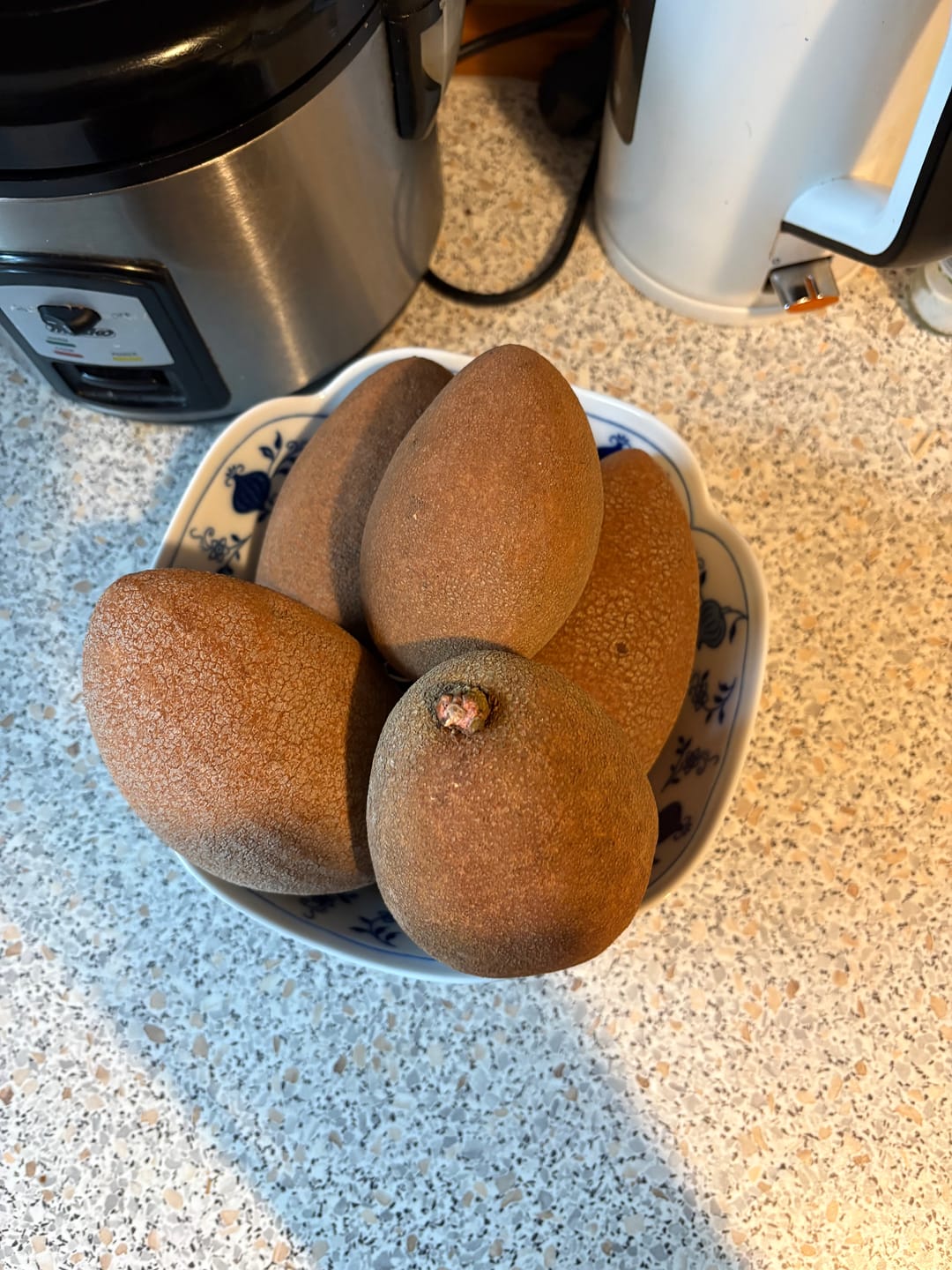 Customer photo review of Sapote Purple (Zapote Morado) Stk (ca. 400-500g)
