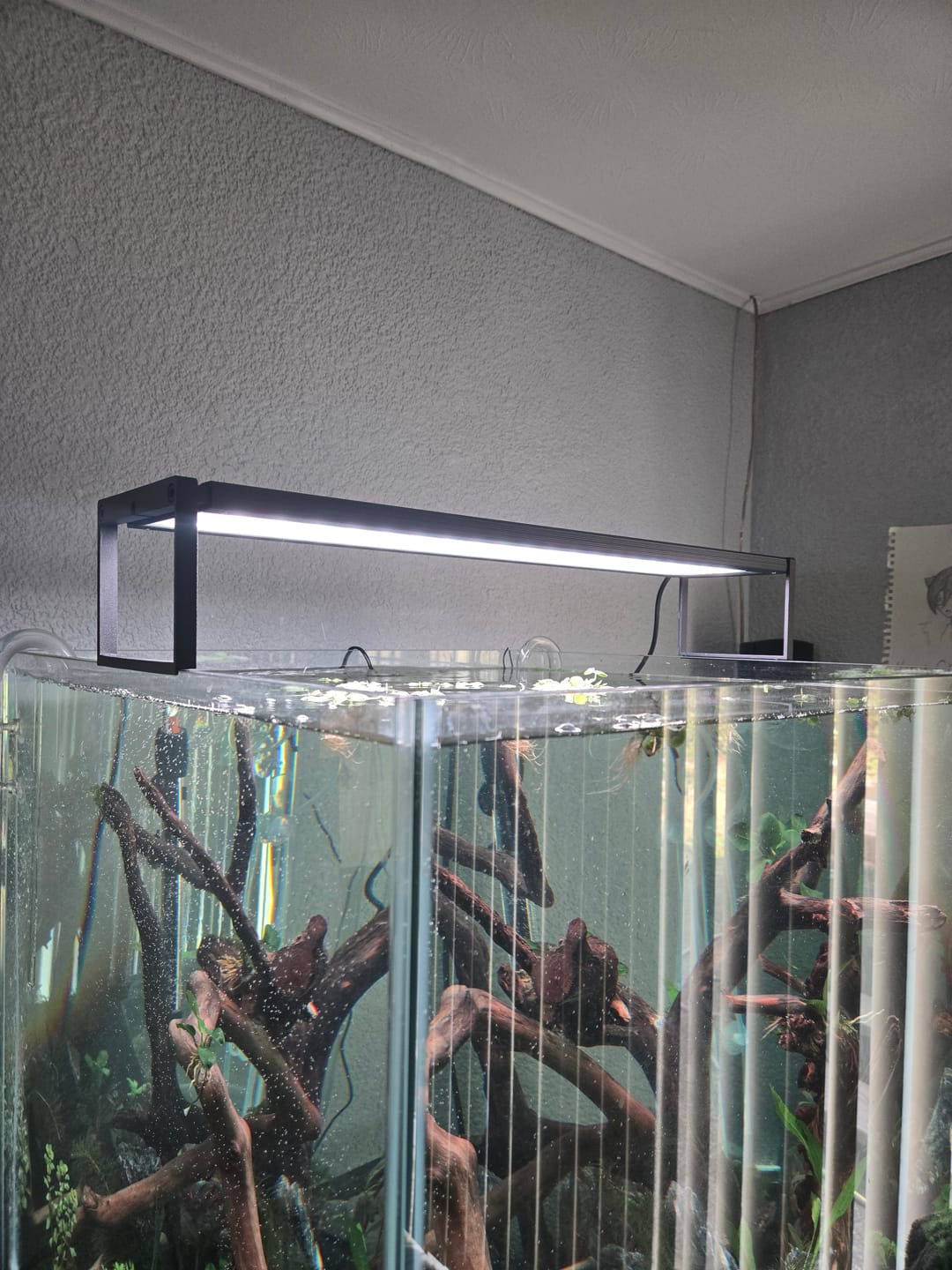 Customer photo review of Chihiros WRGB II Slim LED Light