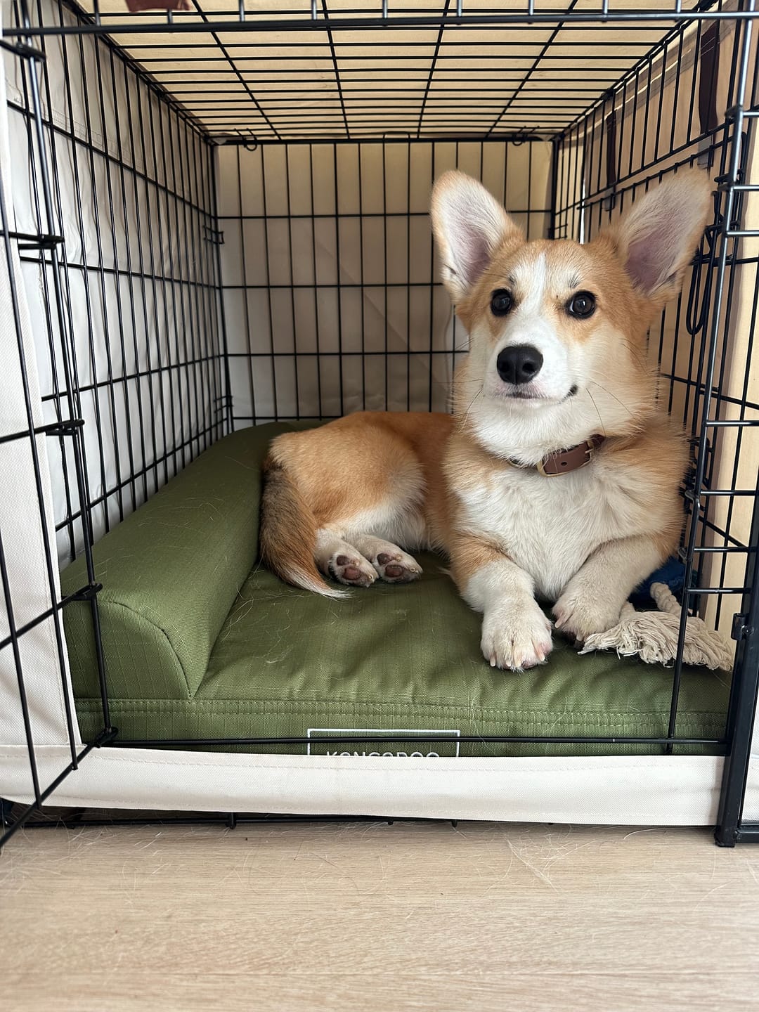 Customer photo review of Pillow Edge Crate Mat Cover