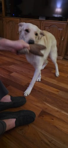 Customer photo review of Clean Earth Plush - Textured - 100% Sustainable