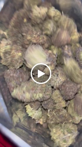 Customer video review of GDP THCA Flower