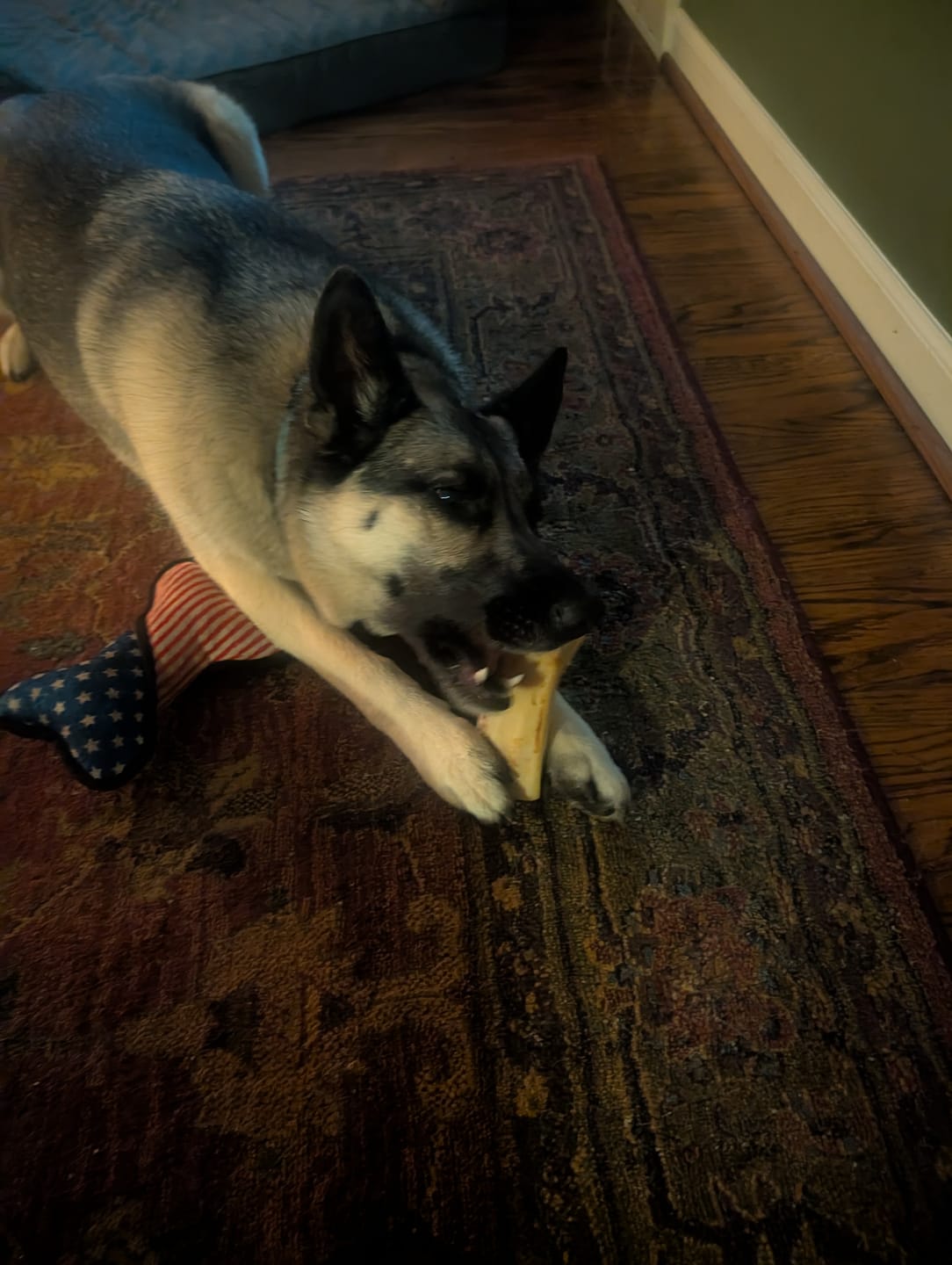 Customer photo review of Smoked Beef Marrow Bones