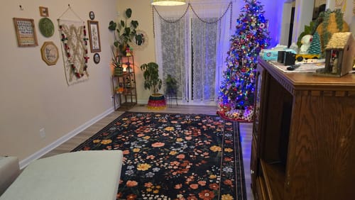 Customer photo review of Chloris Washable Area Rug - Black
