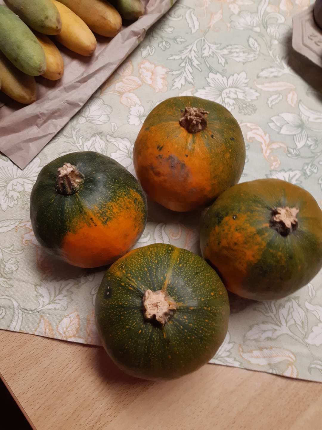 Customer photo review of Kürbis "Rondini" Bio regional
