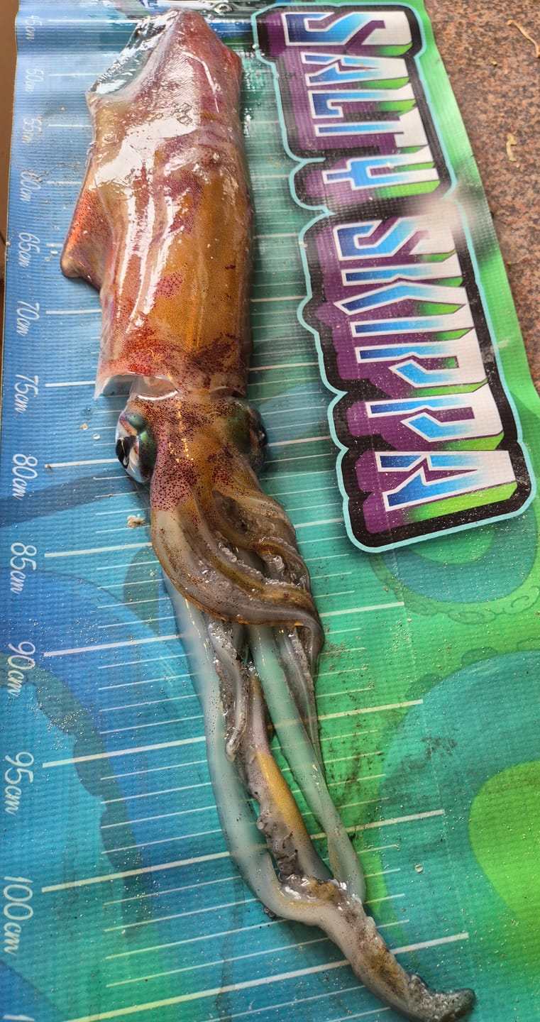 Customer photo review of Salmon Flesh and Bone Squid Jig