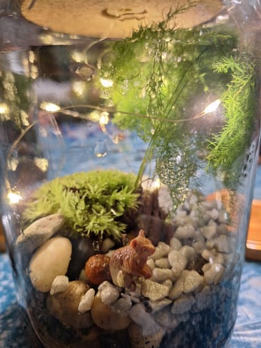 Kundenbewertung: Nahaufnahme eines Flaschengartens mit Bärenfigur, Moos und einer hellen Lichterkette in einem Glas.