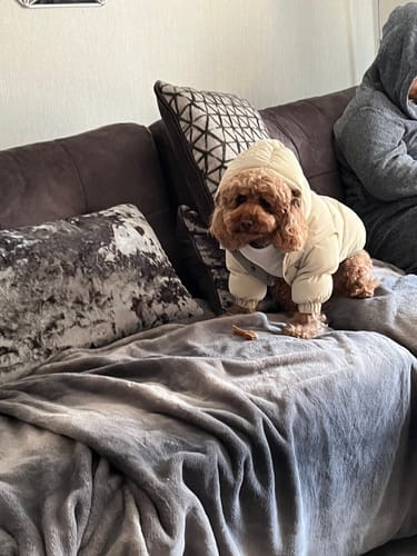 Customer photo review of Marshmallow | The Modular Puffer