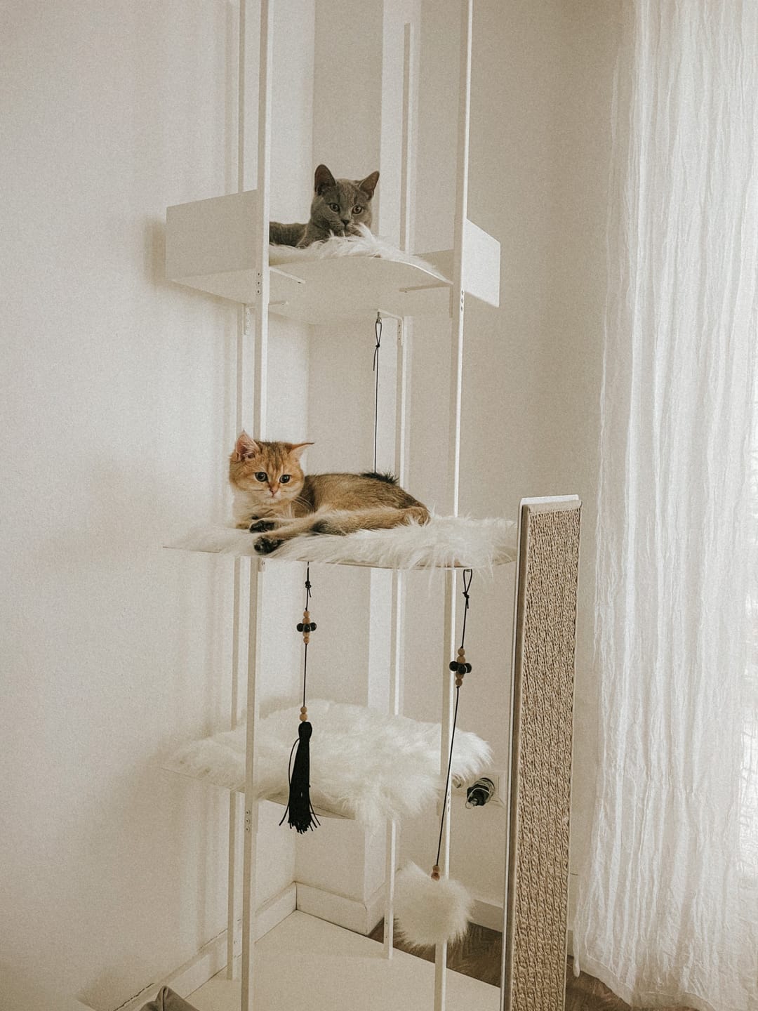 Customer photo review of STYA Katzen Kratzbaum MS310 | Schwarz