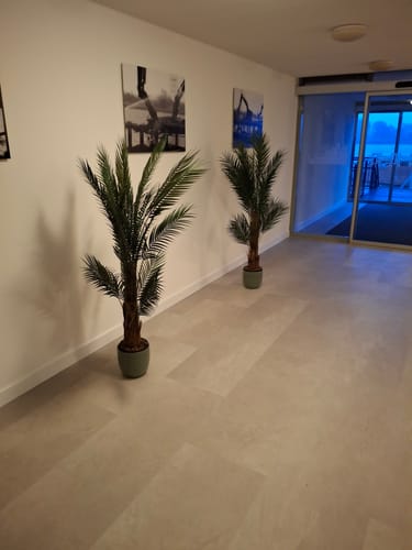 Customer photo review of Kunstpalm 150cm
