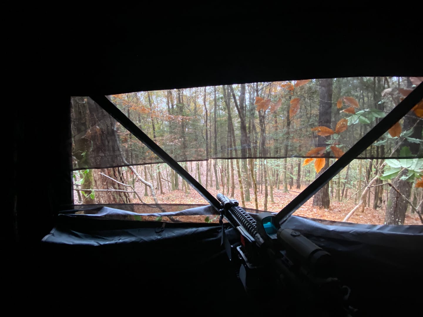 Customer photo review of OptiVue 360° See Through Pop Up Blinds | 3-4 Person Heavy-Duty Camouflage Ground Blind | Deer Blinds for Hunting with 90° Full-Access Door