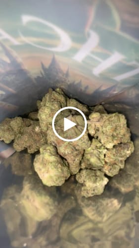 Customer video review of Cheap Indoor THCA Flower2