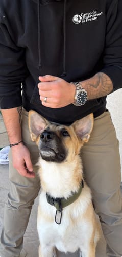 Customer photo review of ATLAS III