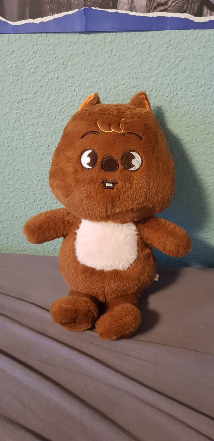 Customer photo review of SKZ Teddybear Plush