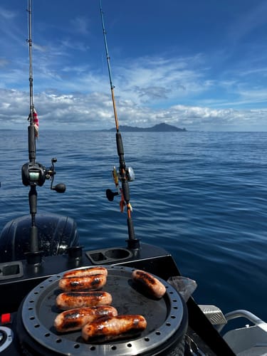 Customer photo review of COBB Grill Gas