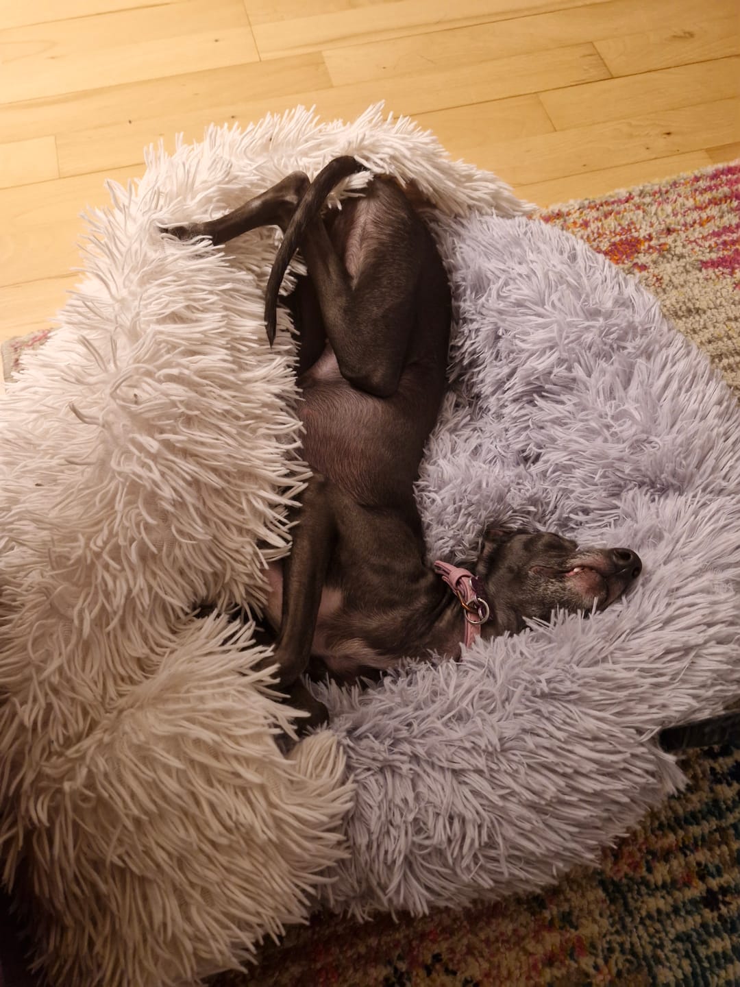 Customer photo review of Fluffy Donut Hundeseng, grå