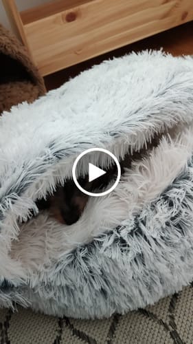 Customer photo review of The Dachshund Den™ — The First Bed Built for Badger Dogs