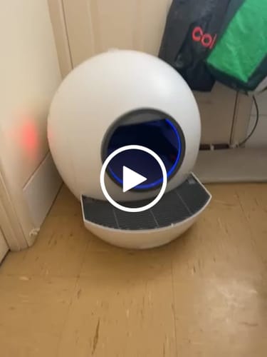 Customer video review of Michu Tofu Cat Litter for Kittens and Small Animals, Natural Crushed Formula, Plant-Based & Safe if Ingested 2.5kg/6L