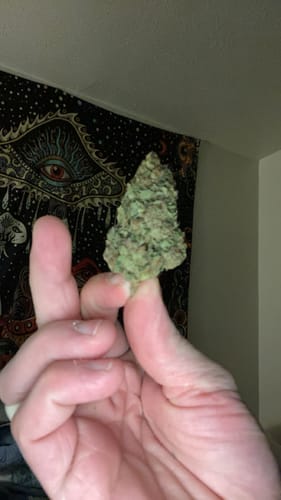 Customer photo review of Lemon Cherry Gelato THCA Flower