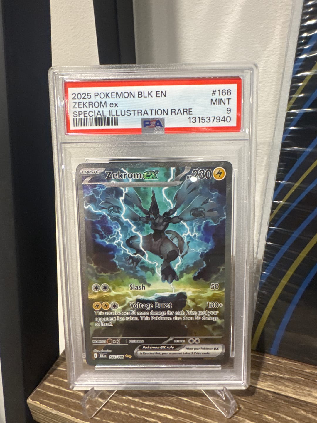 Customer photo review of PSA Submit TCG Bulk $45 ($50 RRP)