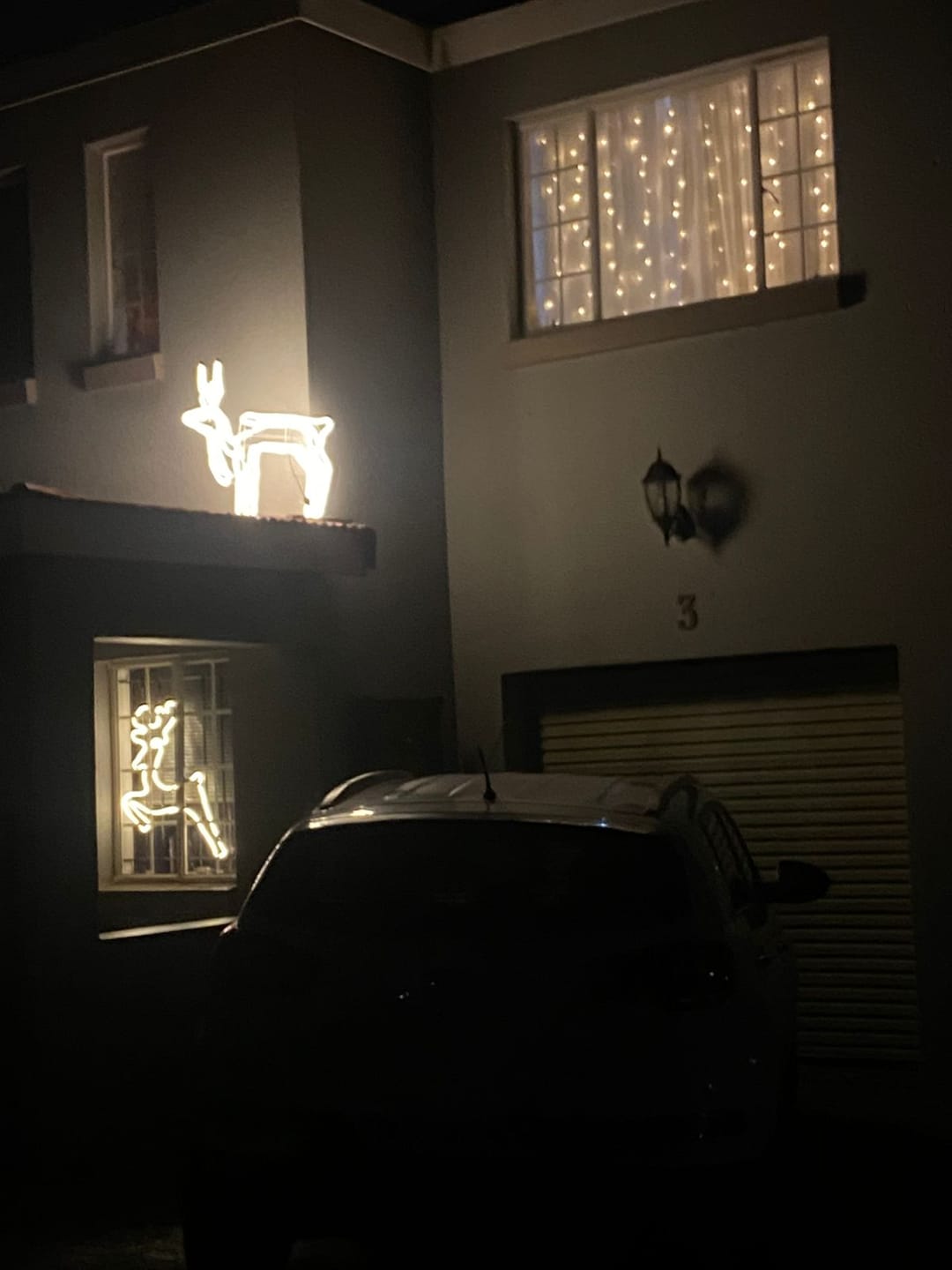 Customer photo review of Curtain Fairy Lights