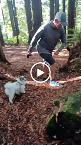 Customer video review of DE-01 Dental Dogbiotic