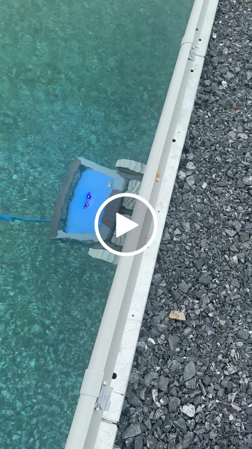 Customer video review of Maytronics Dolphin M600 Robotic Pool Cleaner