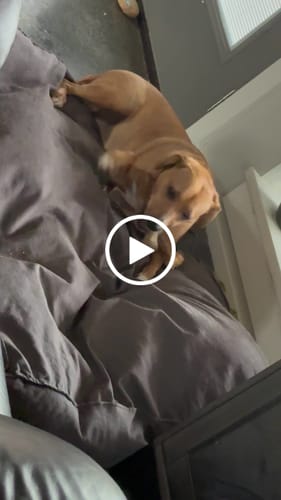 Customer video review of Mystery Gift