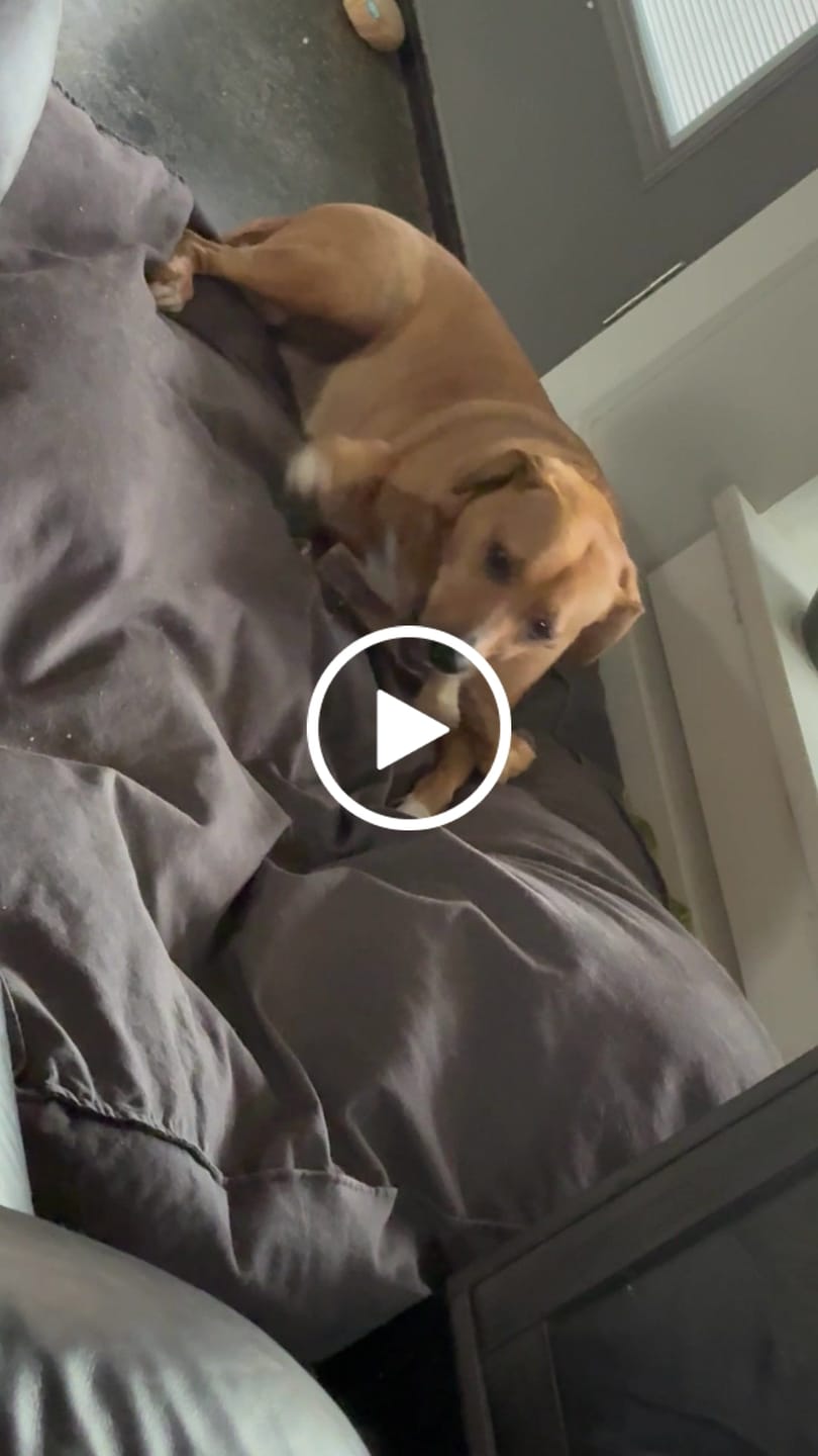 Customer video review of Mystery Gift